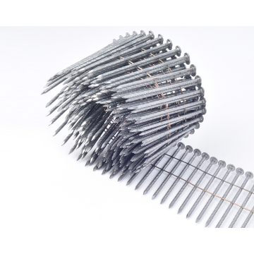 Hot-Dipped Galvanized Siding Nails